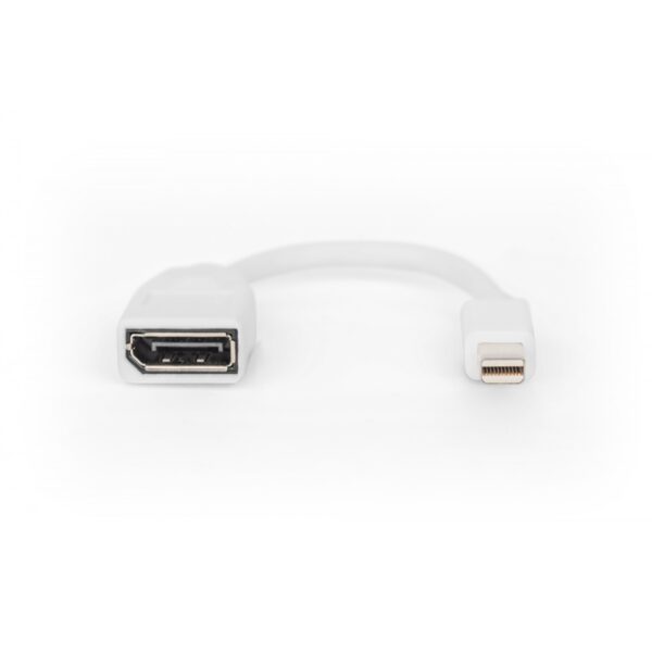 Adattatore mini displayport to displayport m-f digitus